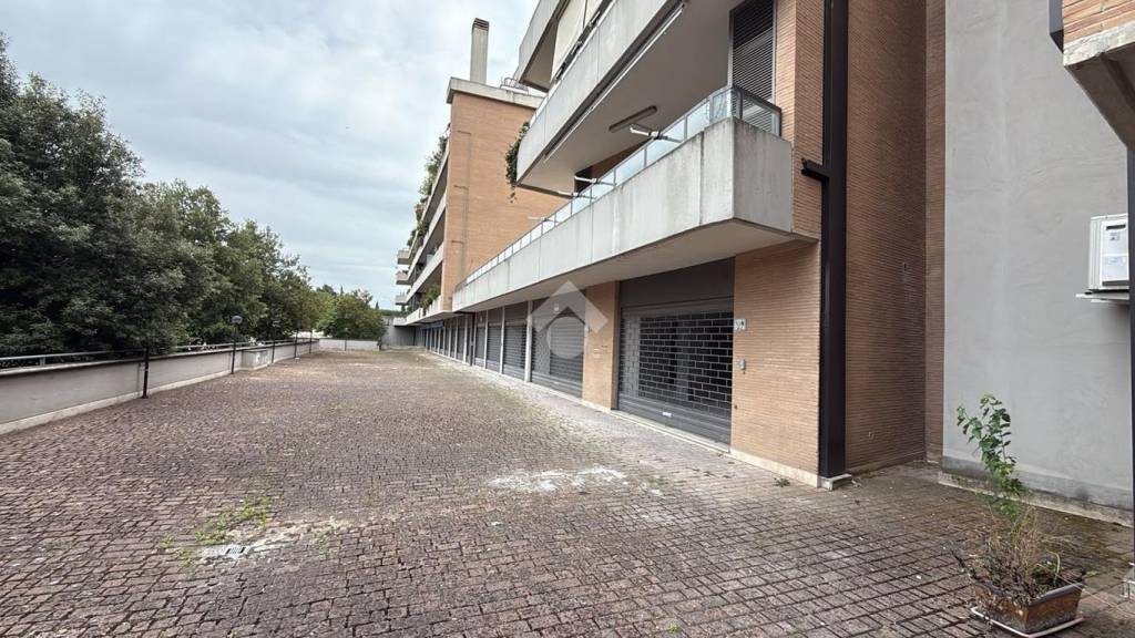 immagine annuncio 11 di 14