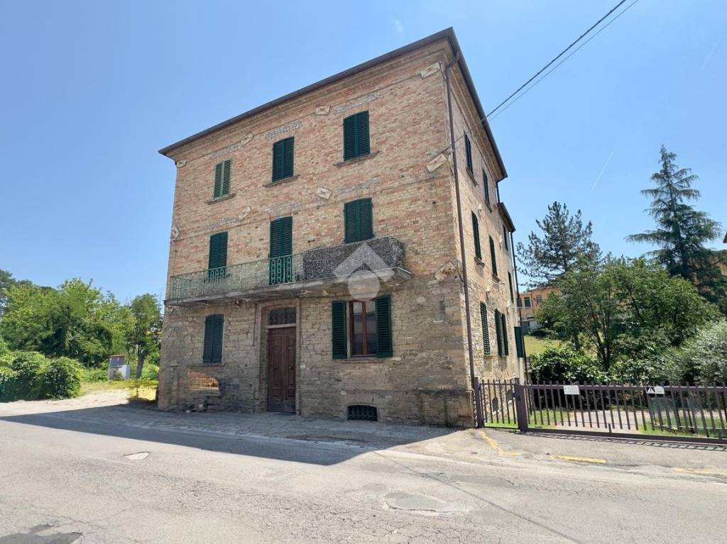 immagine annuncio 2 di 6