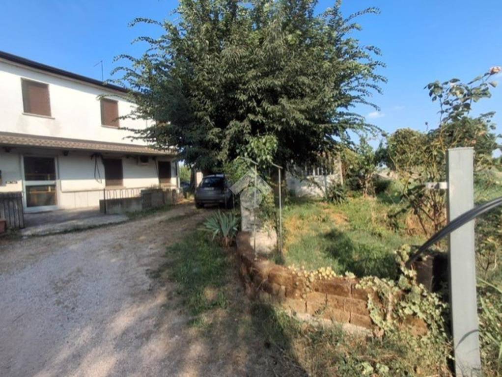 immagine annuncio 1 di 4