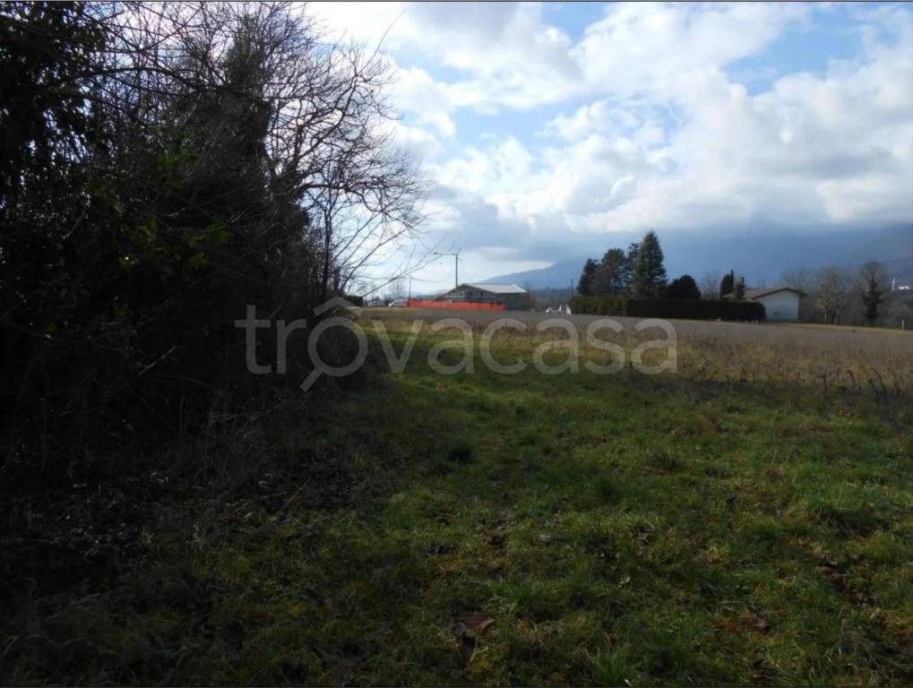 immagine annuncio 1 di 14