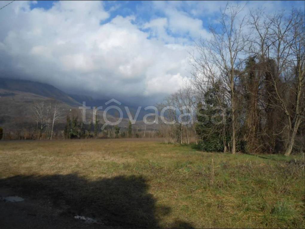 immagine annuncio 11 di 14