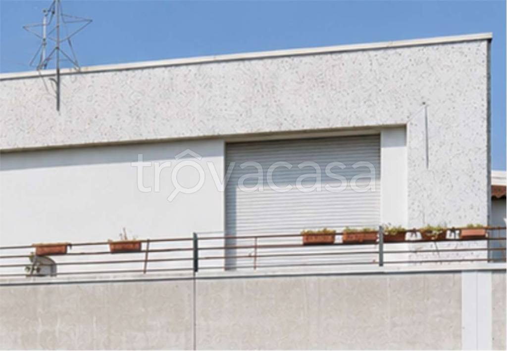 immagine annuncio 10 di 14