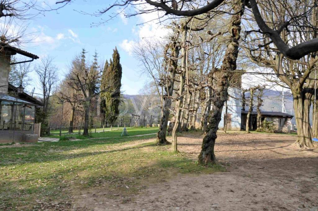 immagine annuncio 10 di 14