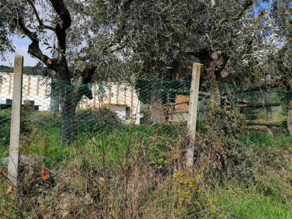 immagine annuncio 2 di 9
