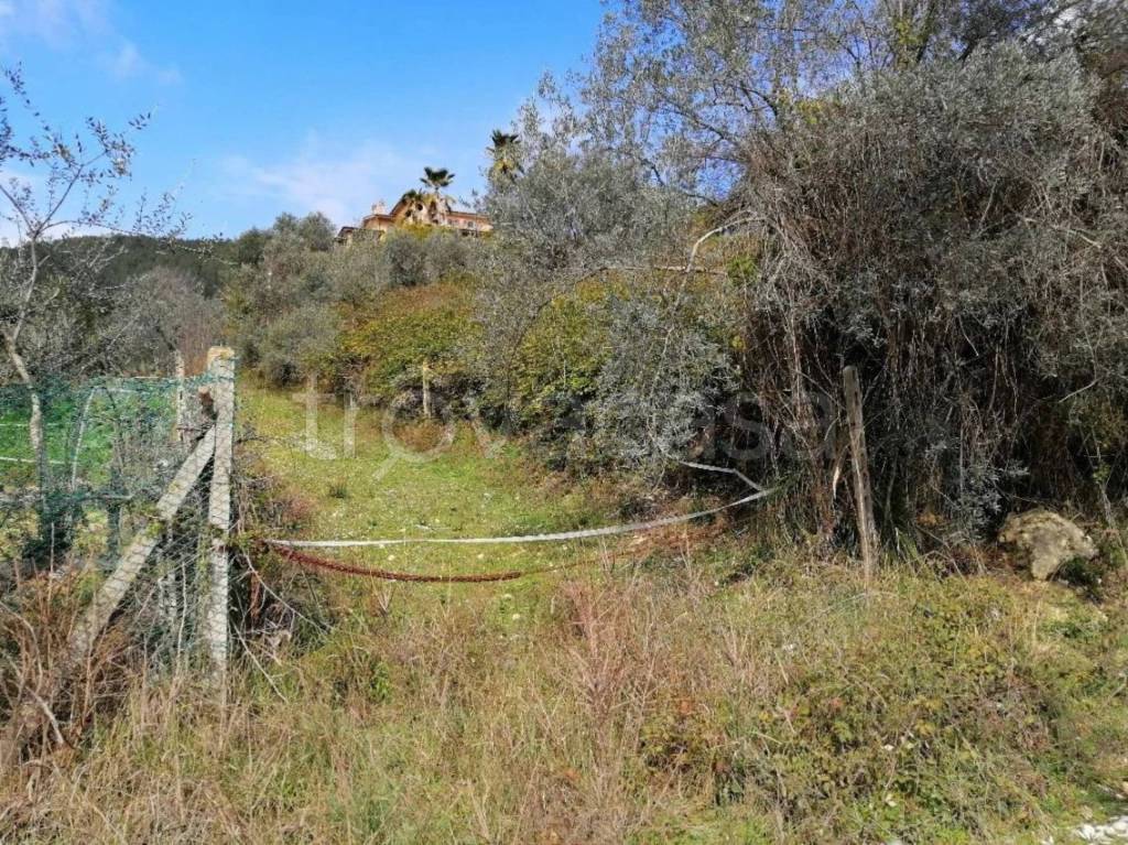 immagine annuncio 3 di 9