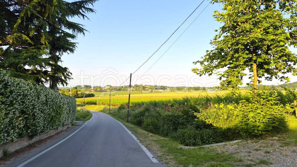 immagine annuncio 4 di 8
