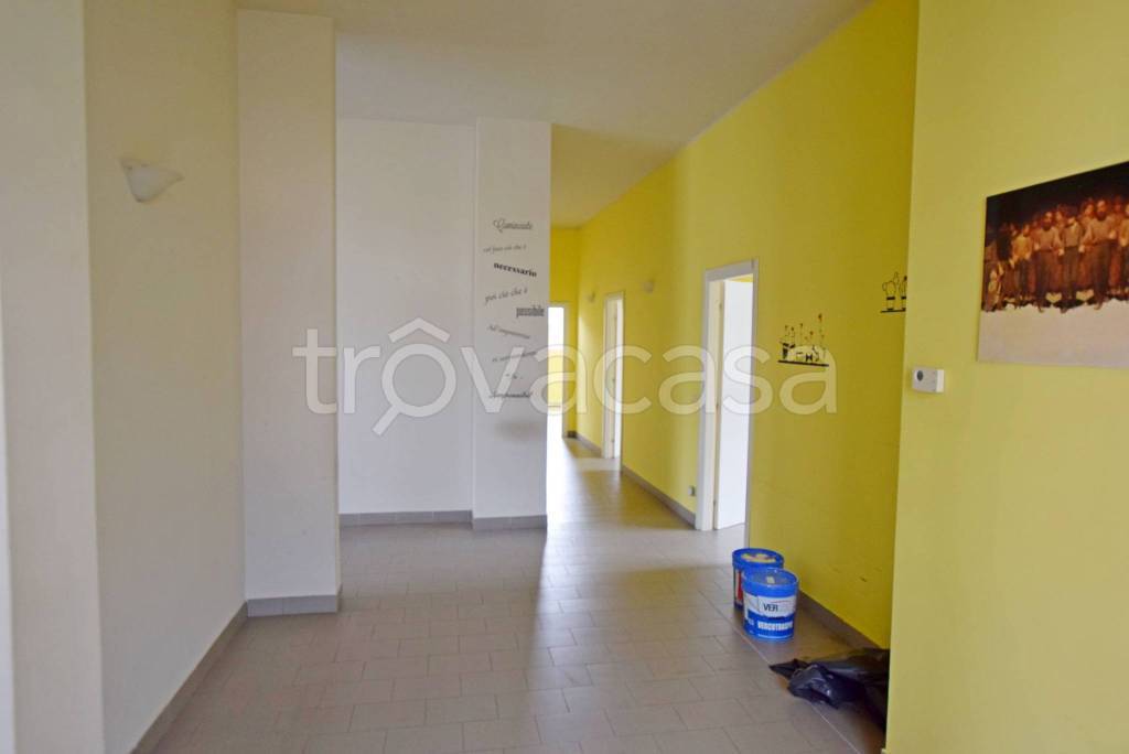 immagine annuncio 5 di 14