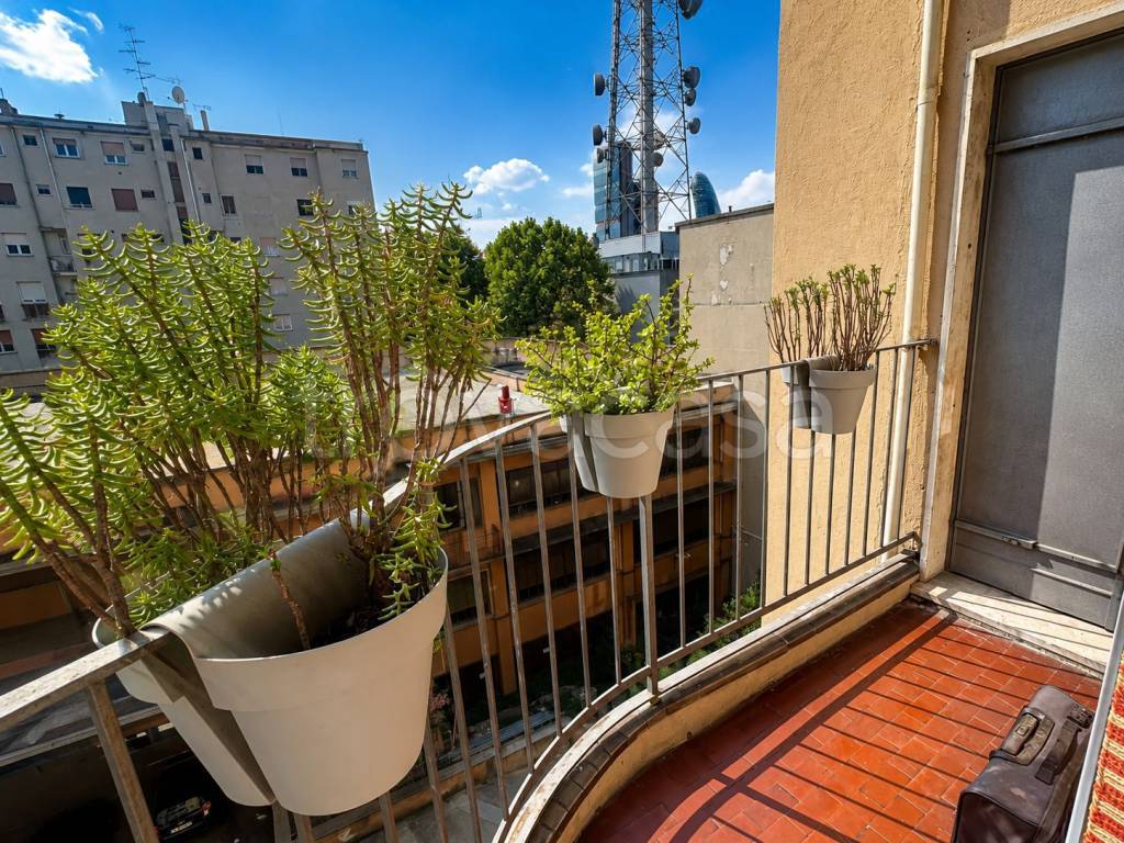 immagine annuncio 9 di 14