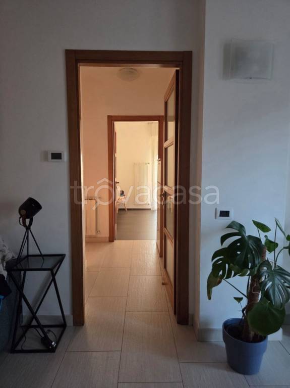 immagine annuncio 6 di 14