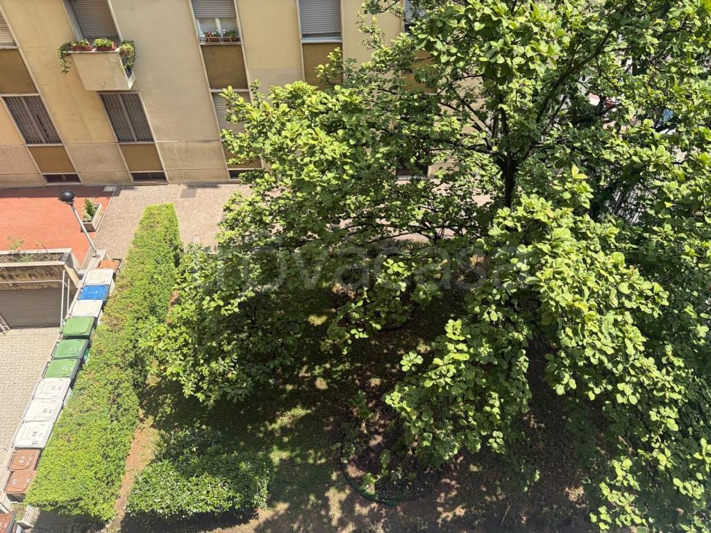 immagine annuncio 10 di 12