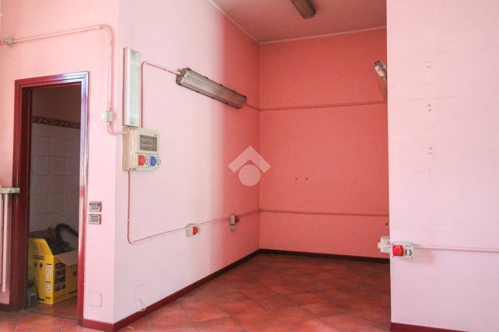immagine annuncio 5 di 11