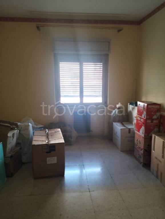 immagine annuncio 9 di 14
