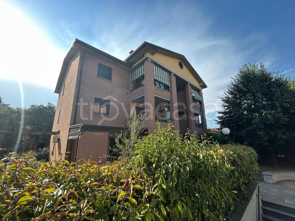 immagine annuncio 12 di 13