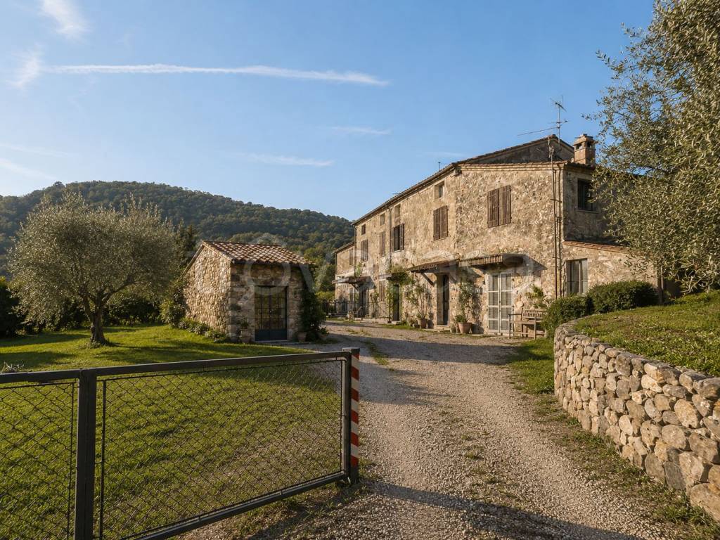immagine annuncio 5 di 6