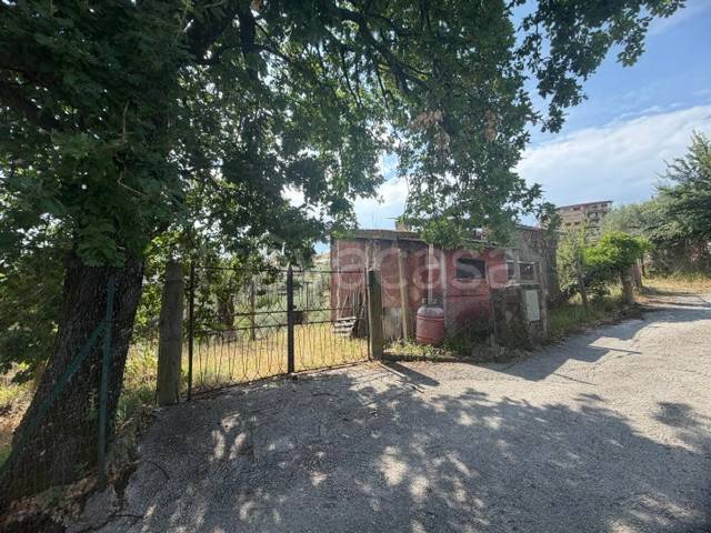 immagine annuncio 2 di 8
