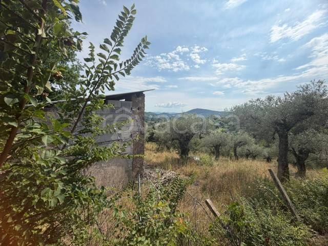 immagine annuncio 5 di 8