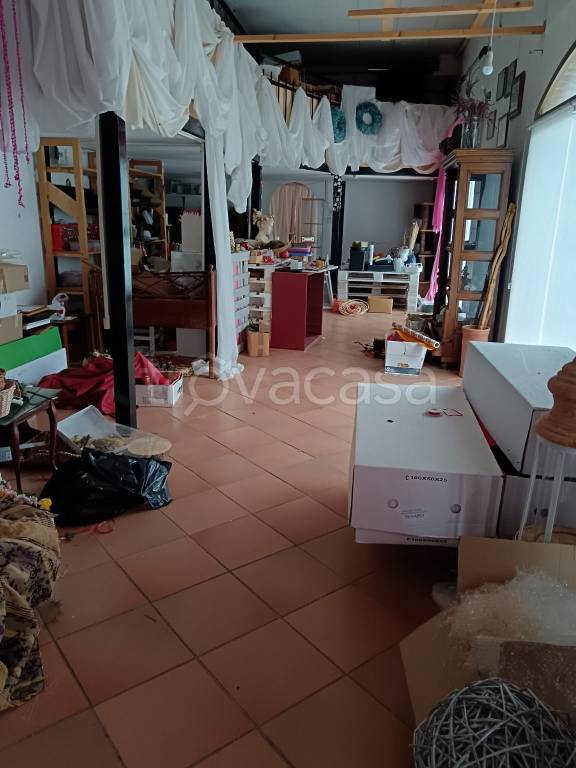 immagine annuncio 2 di 6