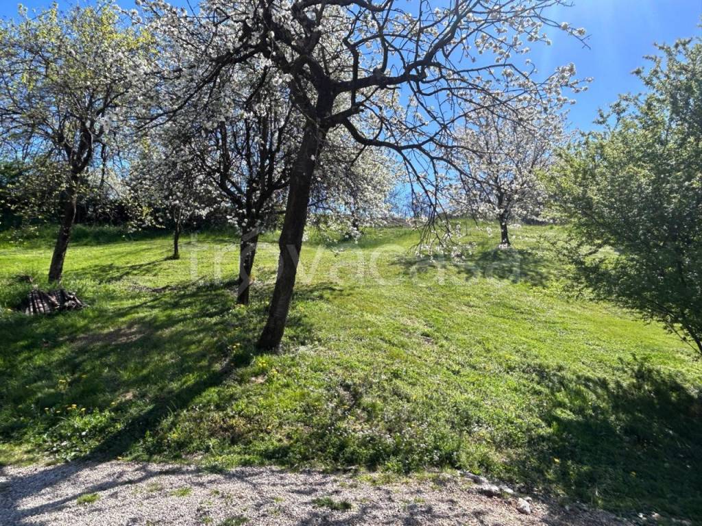 immagine annuncio 5 di 12