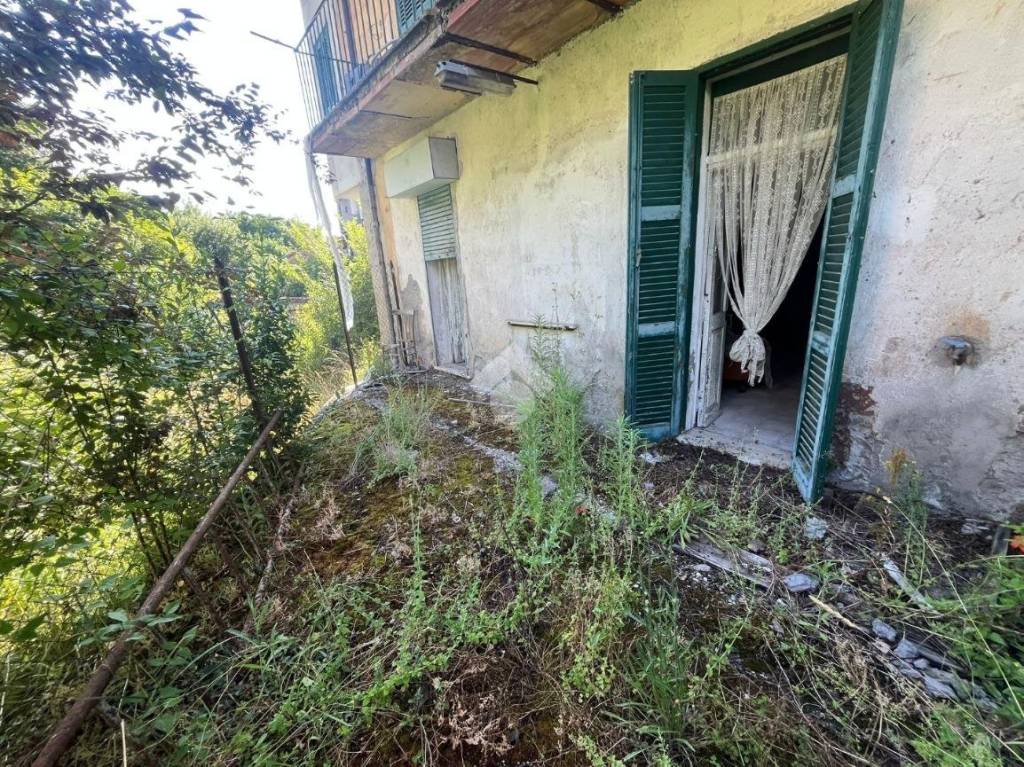 immagine annuncio 3 di 11