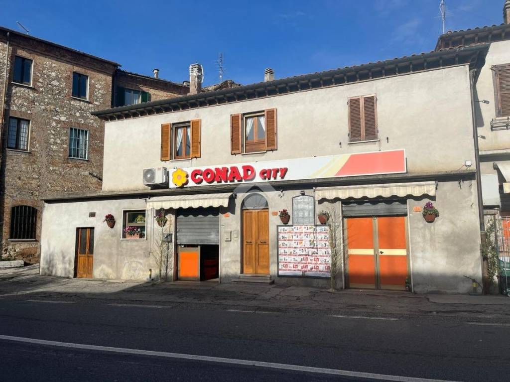 immagine annuncio 12 di 13