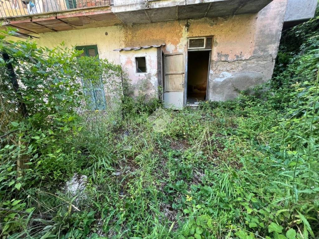 immagine annuncio 4 di 6