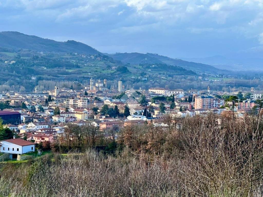 immagine annuncio 12 di 13