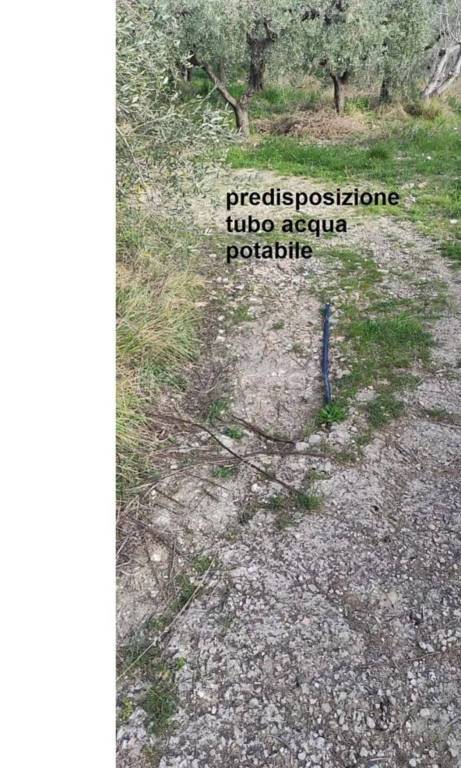 immagine annuncio 6 di 14