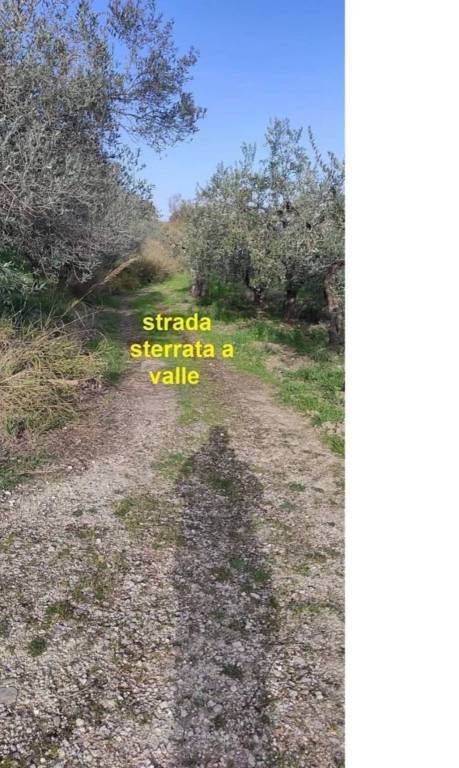 immagine annuncio 8 di 14