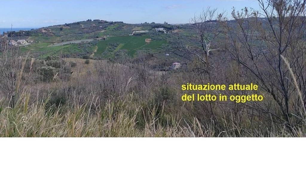 immagine annuncio 9 di 14