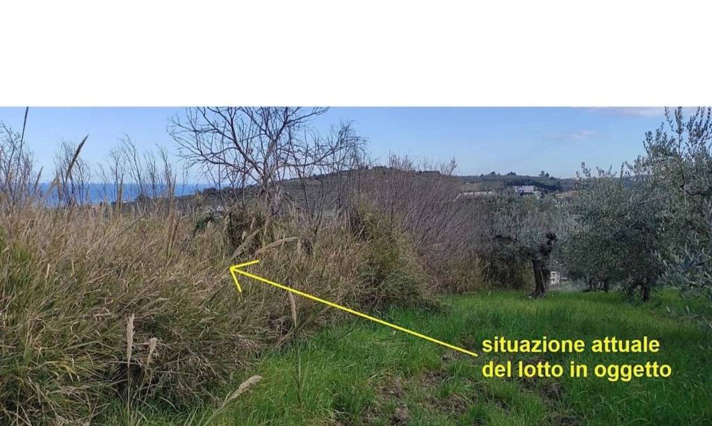 immagine annuncio 10 di 14