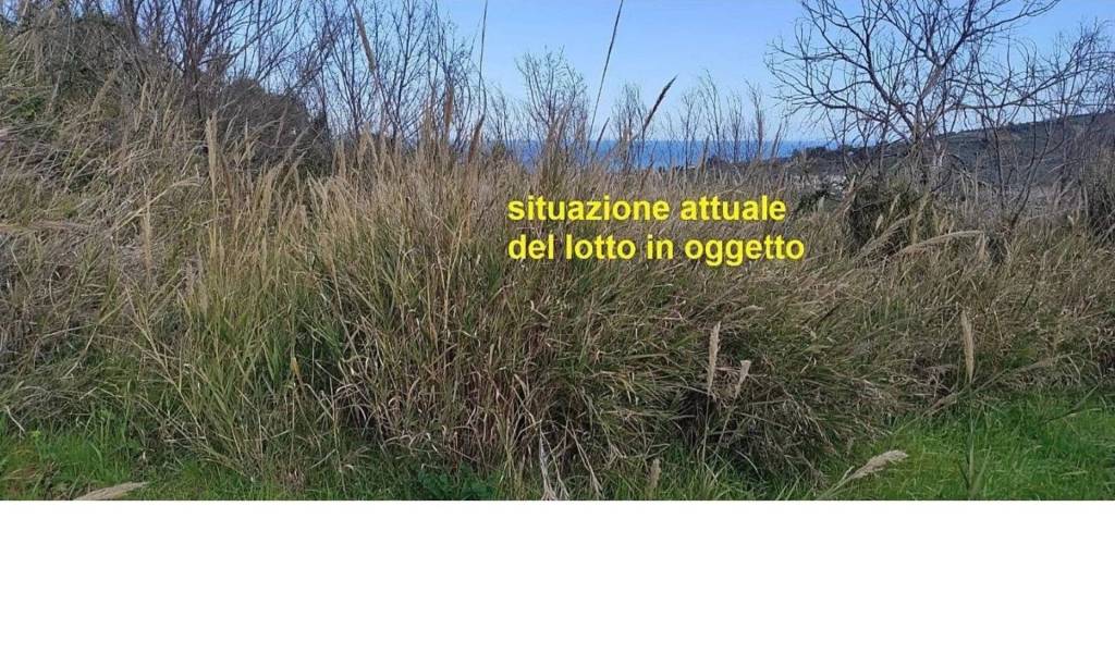 immagine annuncio 11 di 14