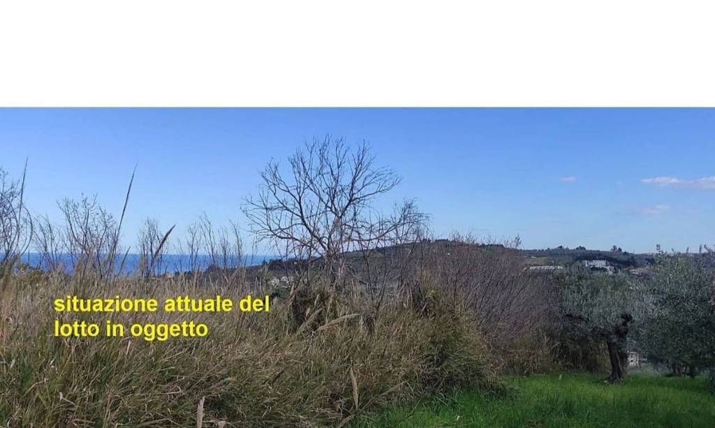 immagine annuncio 12 di 14
