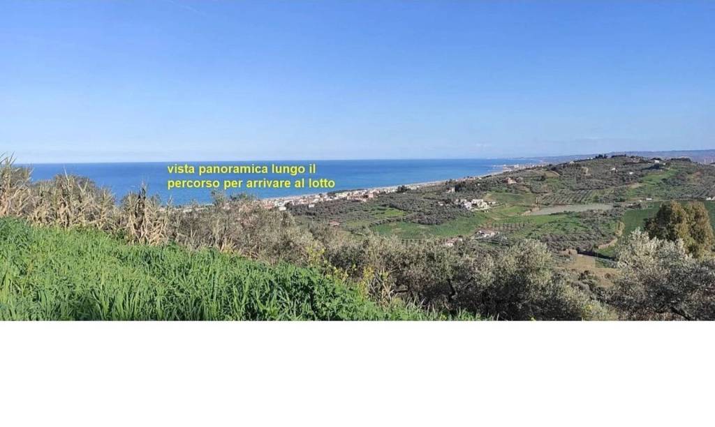 immagine annuncio 13 di 14