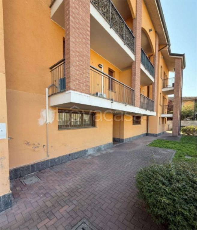 immagine annuncio 3 di 15