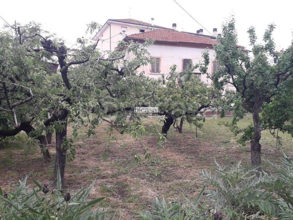 immagine annuncio 2 di 7