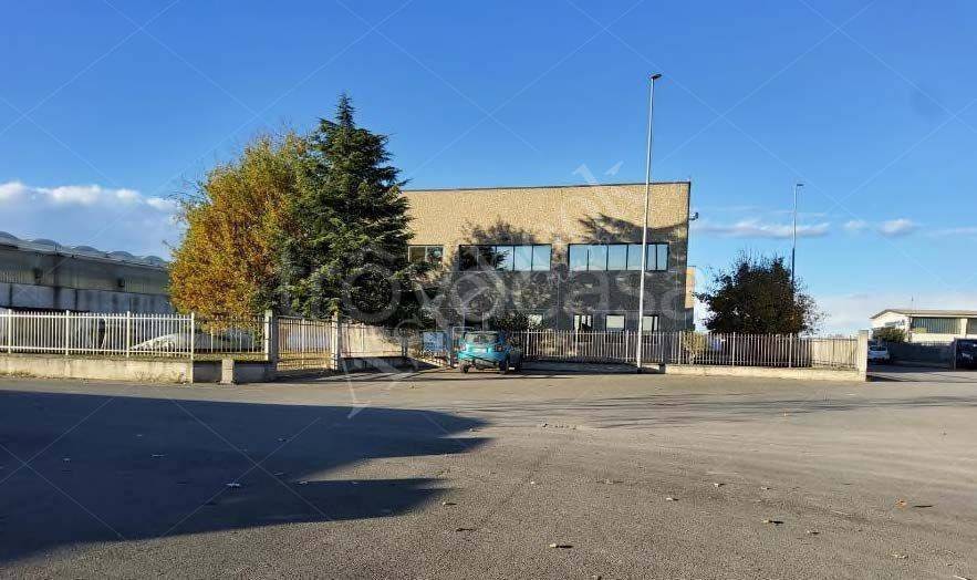 immagine annuncio 1 di 11