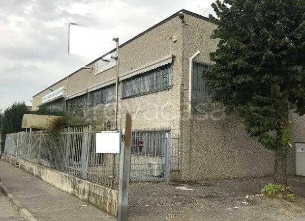 immagine annuncio 5 di 15