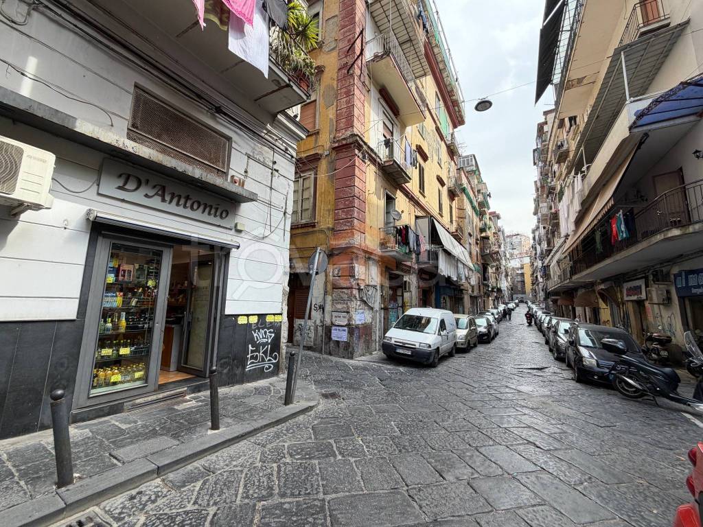immagine annuncio 9 di 12