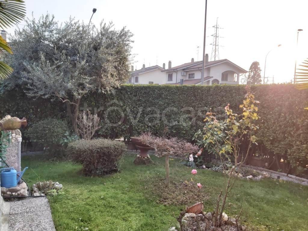 immagine annuncio 3 di 15