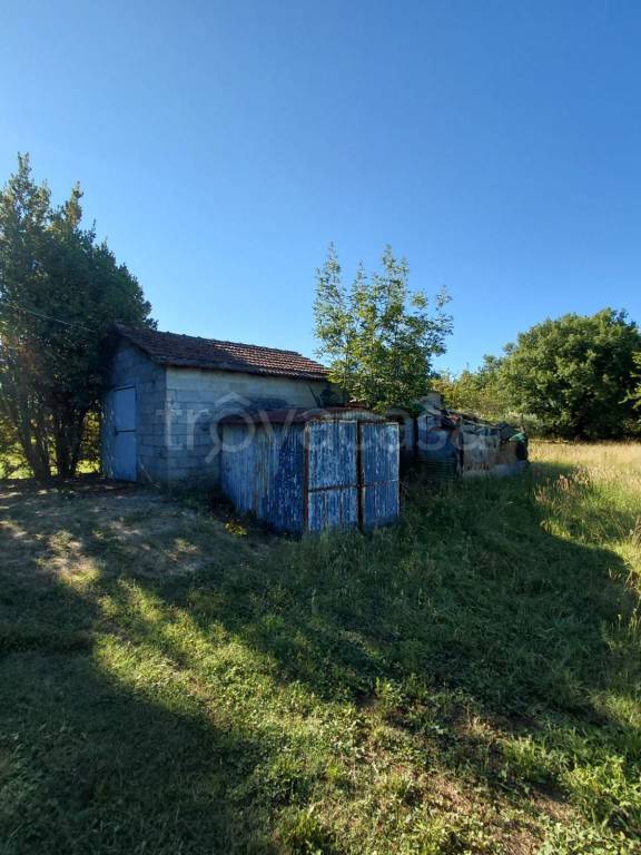 immagine annuncio 2 di 14