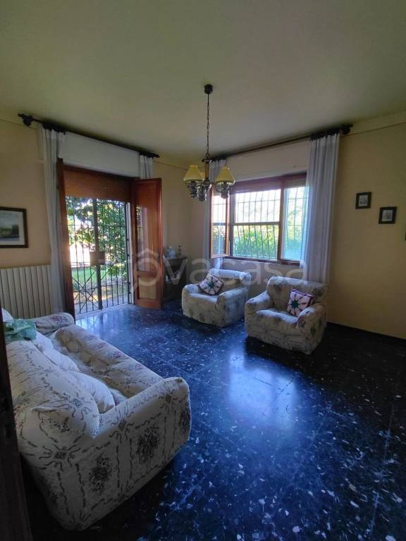 immagine annuncio 9 di 14