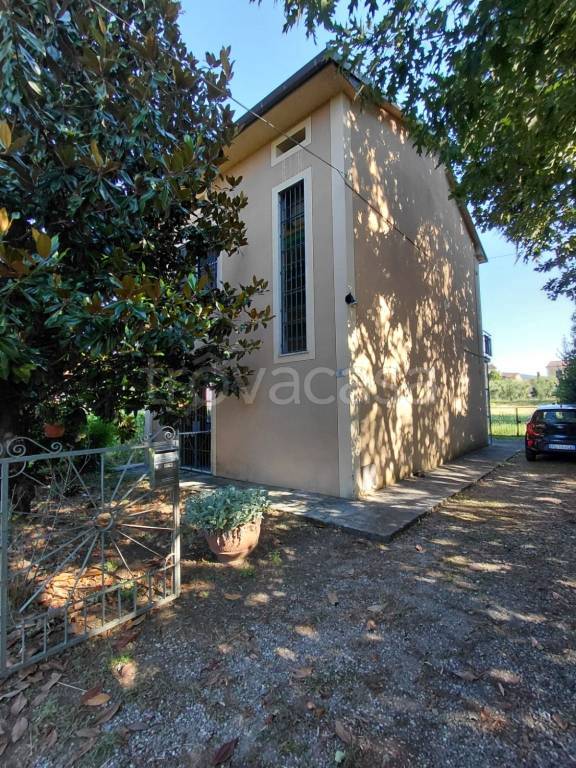 immagine annuncio 5 di 14
