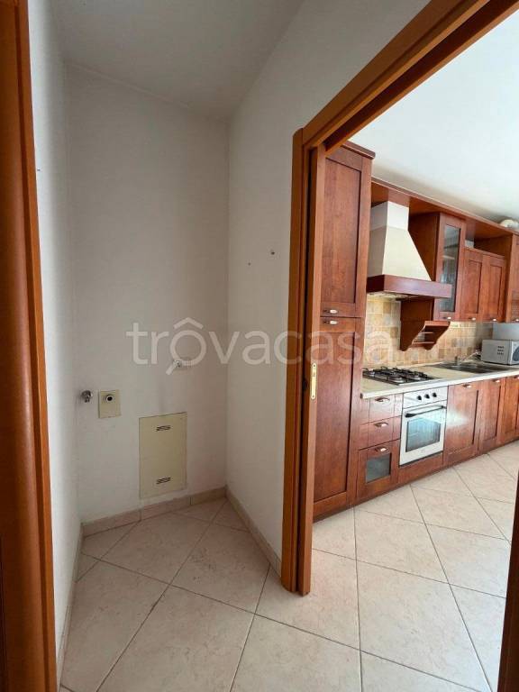 immagine annuncio 3 di 14