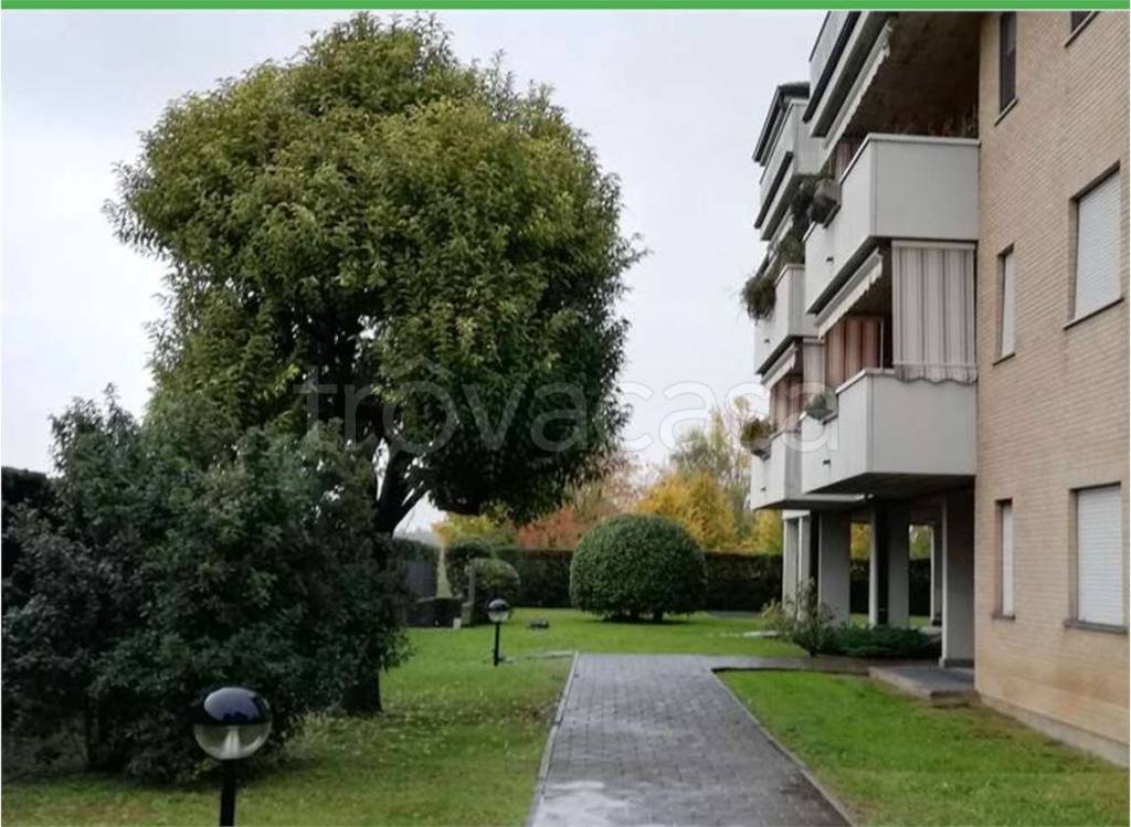 immagine annuncio 6 di 14