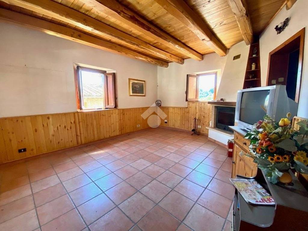 immagine annuncio 6 di 14