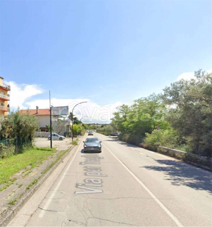 immagine annuncio 7 di 14