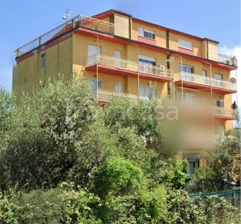 immagine annuncio 5 di 14