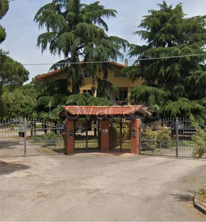immagine annuncio 11 di 13