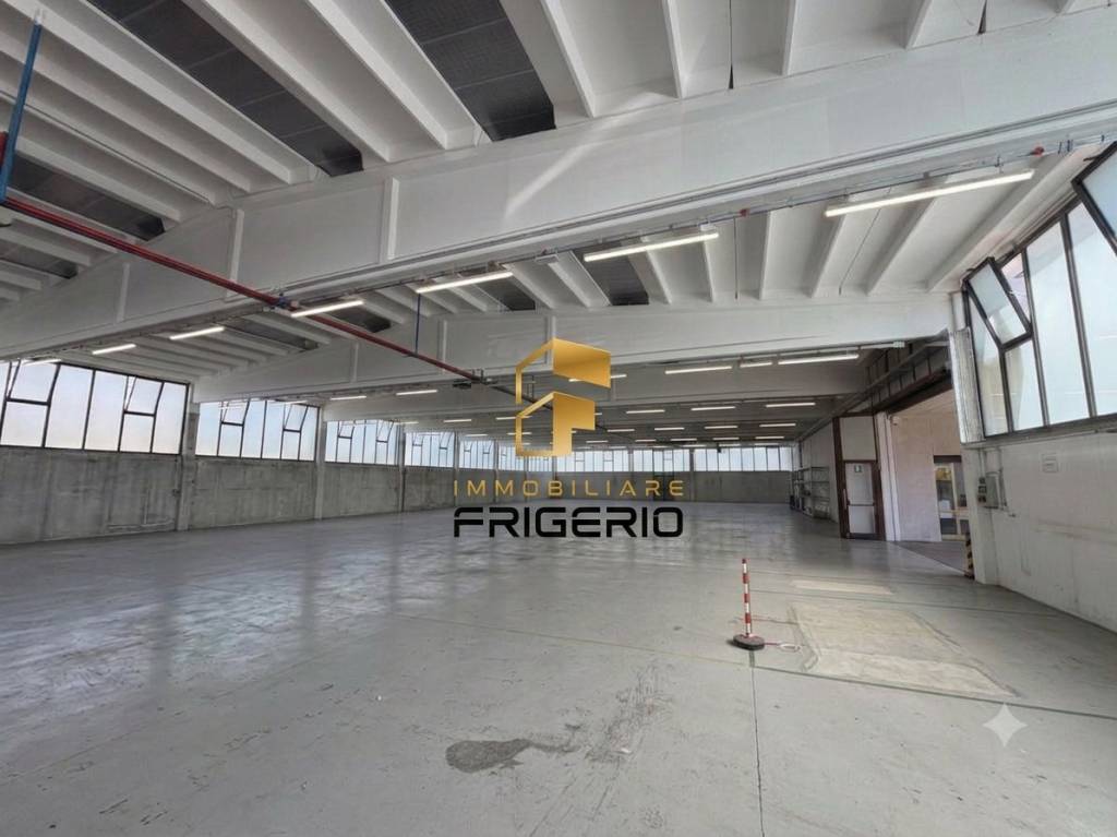 immagine annuncio 2 di 11
