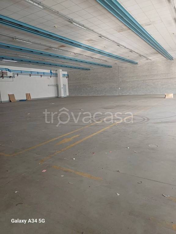 immagine annuncio 9 di 14